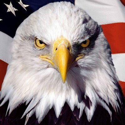 Profile Picture of Mike L. (@mikeL_throne) on Twitter