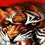 Leon Cordier - Instagram Profile Picture of Leon Cordier (@cordier.leon) on Instagram