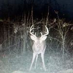 Profile Picture of Jimmy Snell (@snell.jimmy) on Instagram