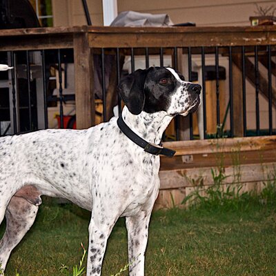 Profile Picture of Mark Kosmo (@kozz27) on Twitter