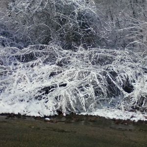 Profile Picture of Stephen Chappelle (@Stephen06814466) on Twitter