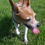 Profile Picture of Byeol Kim (@byeorish) on Instagram