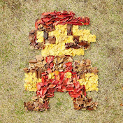 Profile Picture of Vincent Lu (@v1ncentlu) on Youtube