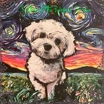 Profile Picture of Steve McCarney (@Steve-McCarney) on Facebook