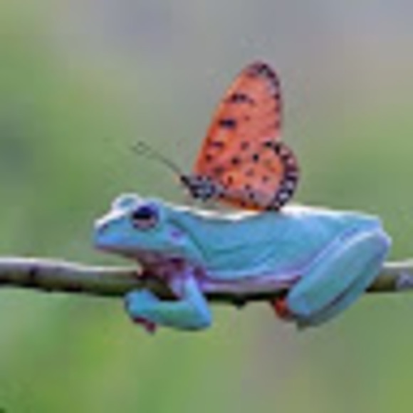 Profile Picture of Siya Prashad (@siya_p10) on Poshmark