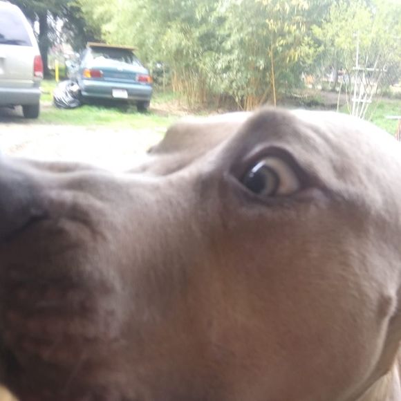 Profile Picture of Tim Shanks (@odinkin05) on Poshmark