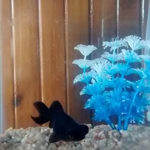 Profile Picture of Sonia Arevalo (@sonik1226) on Twitter