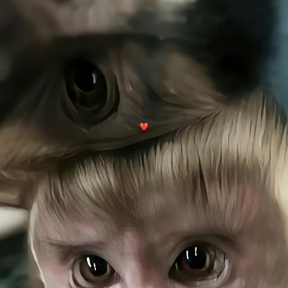 Profile Picture of Fernando Mendoza (@fernandomend945) on Poshmark