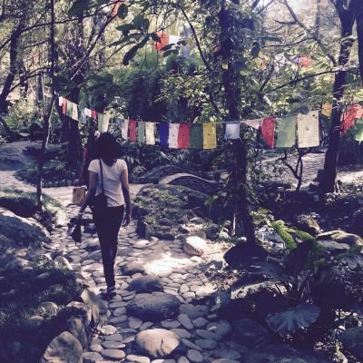 Profile Picture of Farzi Writer (@sonalkhetarpal7) on Twitter