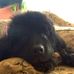 Profile Picture of Jacqueline Tabor (@jacqueline.tabor.58) on Facebook