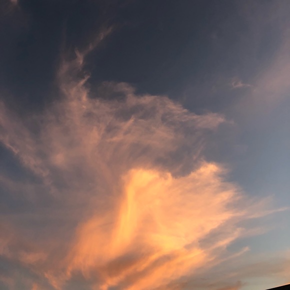 Profile Picture of Haylea Wemple (@hayleawemple) on Poshmark