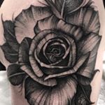 Profile Picture of JOSH PRESŁEY (@muckandmarrow) on Instagram