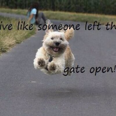 Profile Picture of Janet Kim (@miktenaj) on Twitter