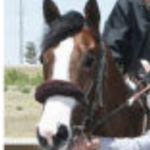 Profile Picture of Nicholas Bancone (@squeeze11xyuu) on Poshmark