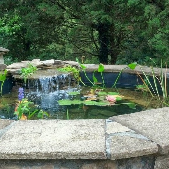 Profile Picture of Rhonda Alexander hart (@rhondaalexan873) on Poshmark