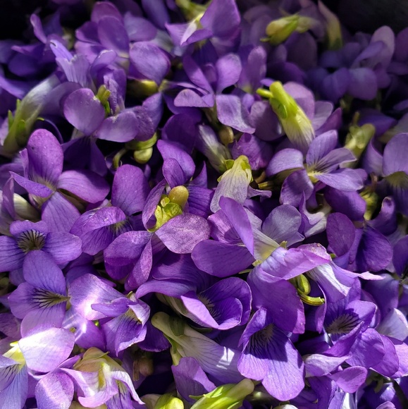 Profile Picture of Ian Fincham (@finchclothes) on Poshmark