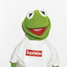 Profile Picture of Anthony Minotti (@anthony_minotti) on Twitter