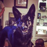 Profile Picture of Tyler Krieger (@we_the_peebles) on Instagram