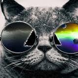 Profile Picture of Nathan Schnabel (@schnobz) on Twitter