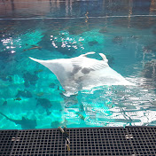 Profile Picture of Daniel LaRue (@mrlarue77) on Youtube