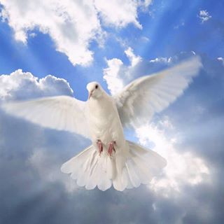 Profile Picture of Mrz Teah Kay Simon (@mrzteah.kaysimon) on Facebook