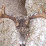 Profile Picture of Sam Elsner (@sam_elsner00) on Instagram