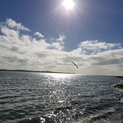 Profile Picture of Liliana Calderon B (@BernGisela) on Twitter