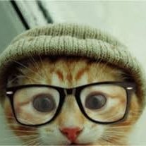 Profile Picture of OSusannah...1 (@sphelan4594) on Twitter