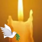 Profile Picture of Erik Catalan (@erik.catalan.2024) on Facebook