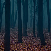 Profile Picture of Michael Row (@michaelrow875) on Youtube