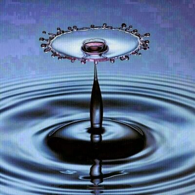 Profile Picture of Roy Bailey (@RoyRoybailey76) on Twitter