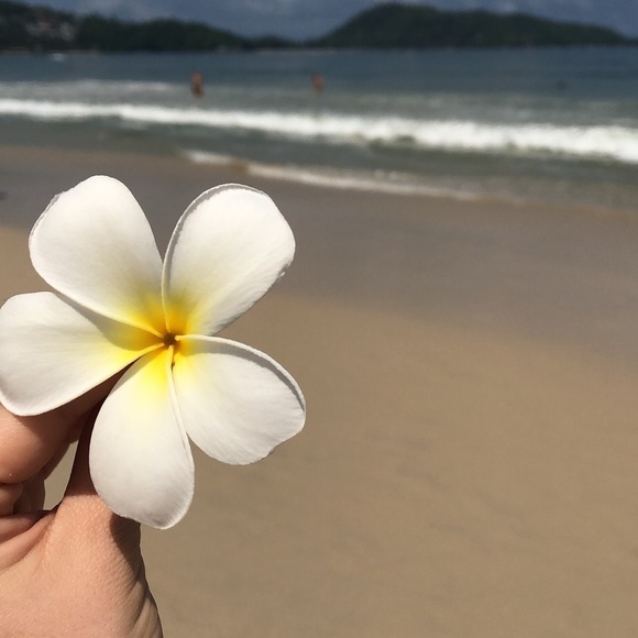 Profile Picture of Kim Thrasher (@kimt95493) on Poshmark