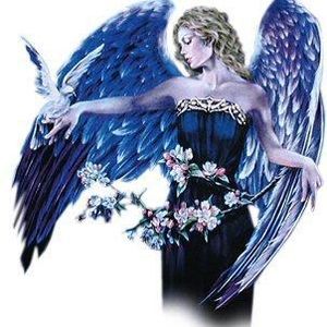 Profile Picture of Lorenzo Barreto (@112395540) on Myspace