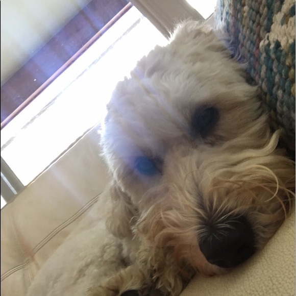 Profile Picture of John Gilbert (@johngilbert02) on Poshmark