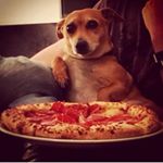 Michael Bovenkamp - Instagram Profile Picture of Michael Bovenkamp (@michaelbovenkamp) on Instagram