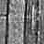 Profile Picture of Marc And Karen Brodeur (@brodeurfamwa) on Flickr