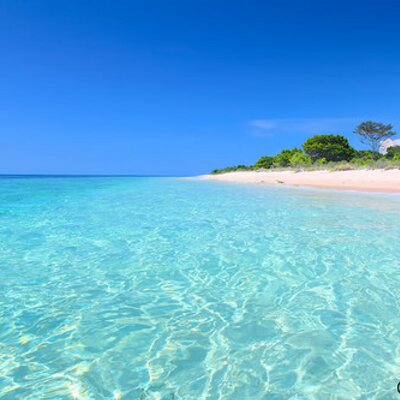 Profile Picture of Alpa Bhatt (@alpavbhatt1) on Twitter