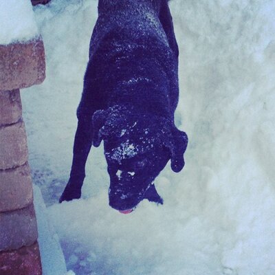 Marley Olson - Twitter Profile Picture of Marley Olson (@MarMarOlson) on Twitter