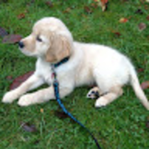 Profile Picture of Kaelyn Fairbairn (@kmmf19) on Poshmark