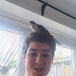 Profile Picture of Joe Bidwell (@joebidwell) on Instagram