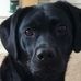 Profile Picture of David Totten (@david.totten.5680) on Facebook