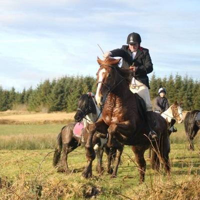 Profile Picture of Glen Evans (@GlenEvans5) on Twitter