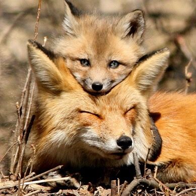 Profile Picture of Thomas Jasinski (@thomas.jasinski) on Tiktok