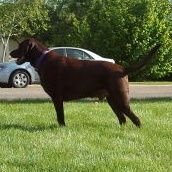 Profile Picture of Matt Krogman (@mattkrogman) on Twitter