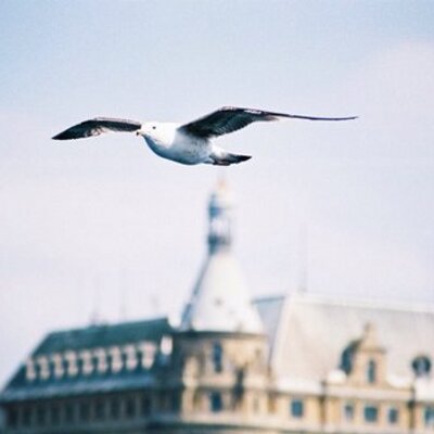 Profile Picture of Trish Nguyen (@trishnguyen25) on Twitter