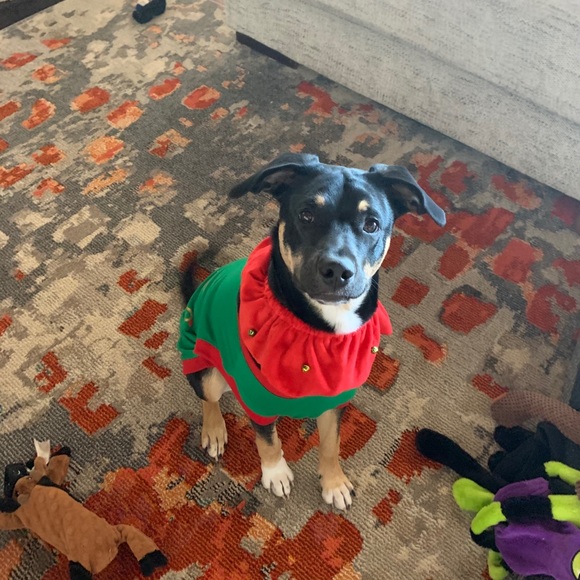 Profile Picture of Brooke Dobbs (@bdcountrylife17) on Poshmark