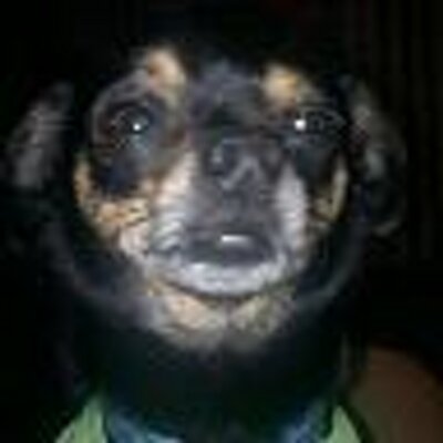 Profile Picture of Gary Clifford (@garyclifford18) on Twitter