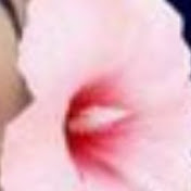 Profile Picture of Mrs. Sunshine- Gray (@mrs.sunshine-gray997) on Youtube