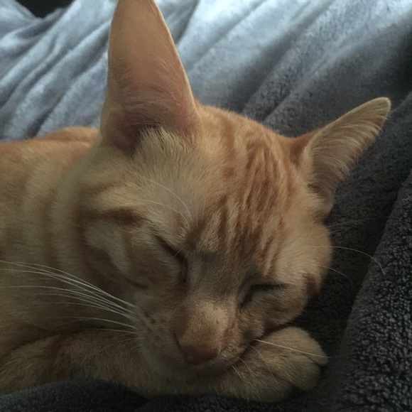 Profile Picture of Haley Owens (@haleyowens24) on Poshmark