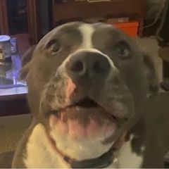 Profile Picture of Scott Mobley (@scott.mobley5) on Tiktok